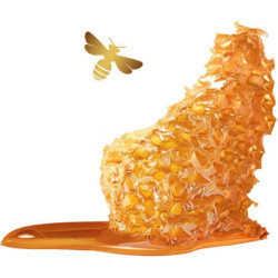 Garnier - Shampoo ULTRA DOUX BIO - Honey Treasures