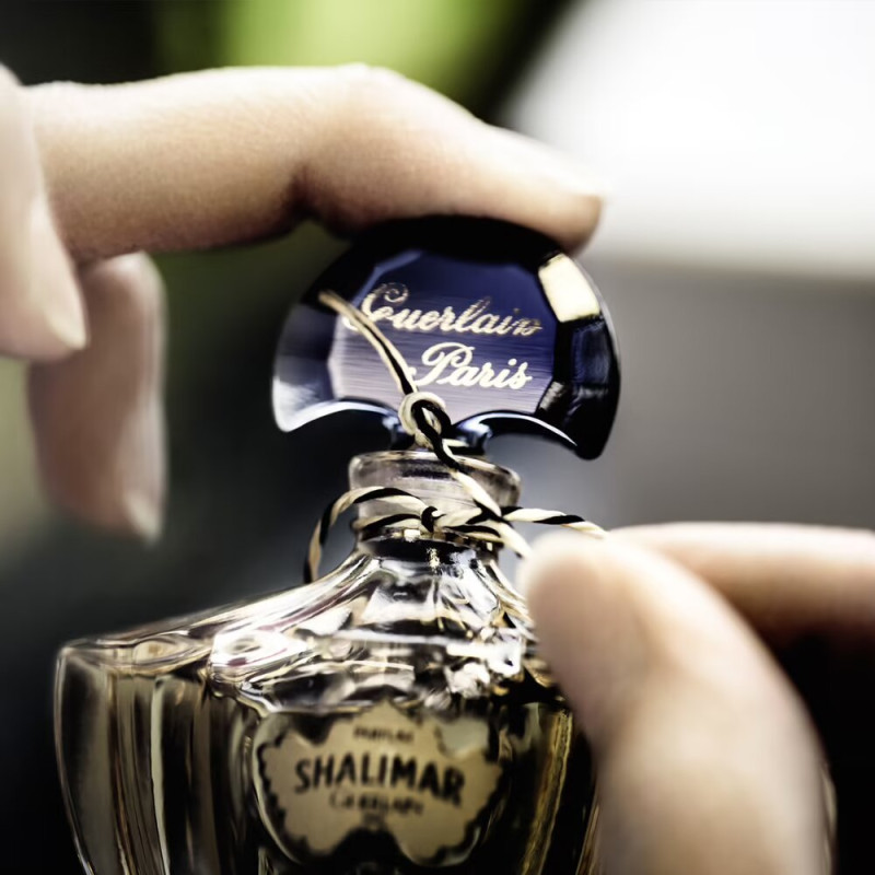 Eau de Parfum Vaporisateur Shalimar 50 ml - Guerlain