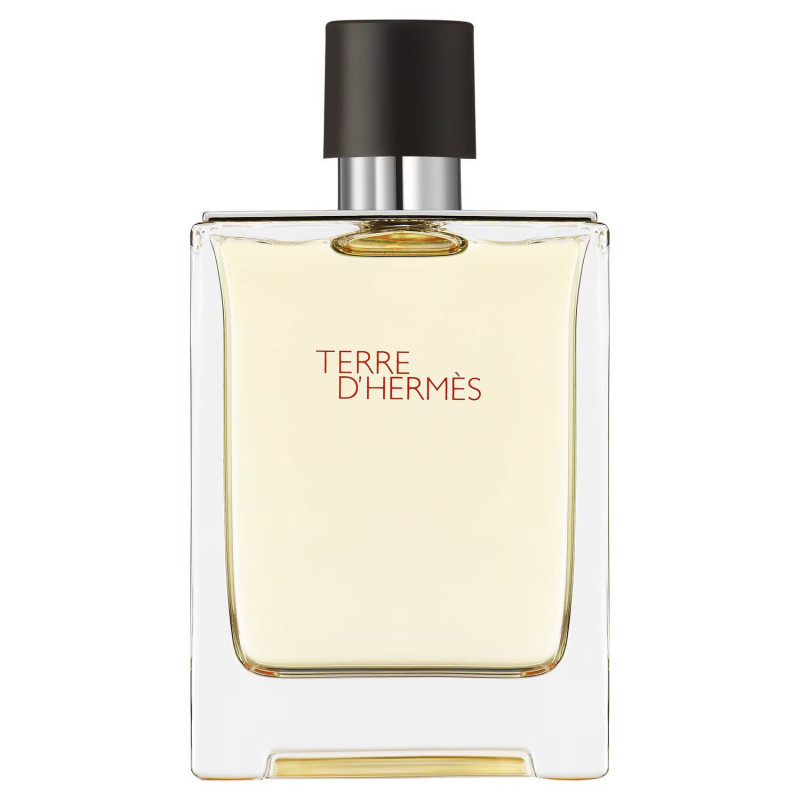 Woda toaletowa Terre d'Hermès 100 ml - Hermès Woda toaletowa Terre d'Hermès 100 ml - Hermès