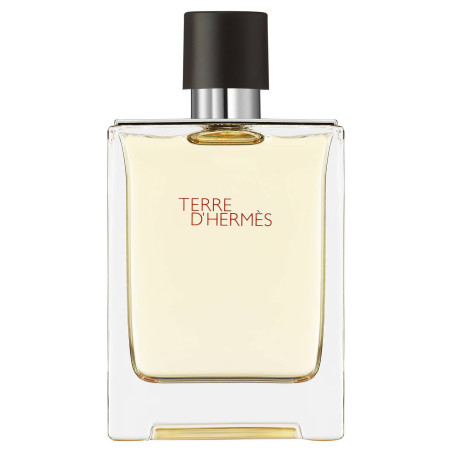 Eau de Toilette Terre d'Hermès 100 ml - Hermès