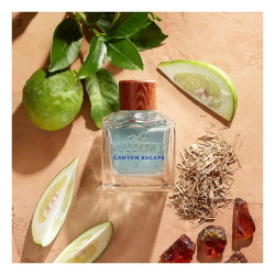 Canyon Escape Eau de Toilette für Ihn 50 ml - Hollister